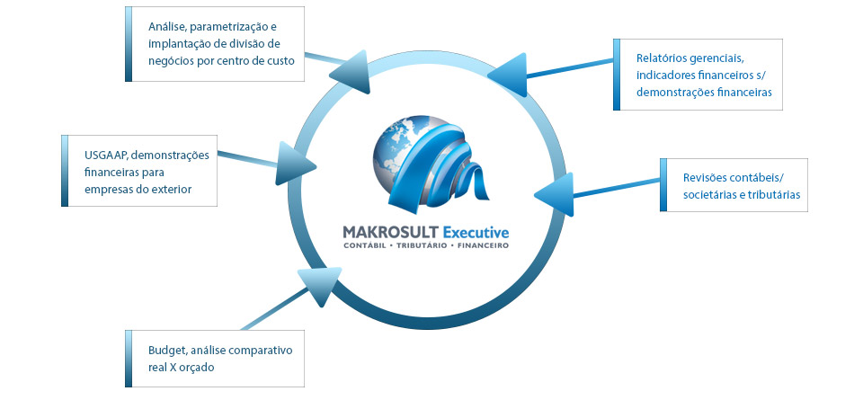 Makrosult Executive - O que fazemos - Controle de Gestão