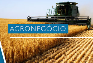 Agronegócio